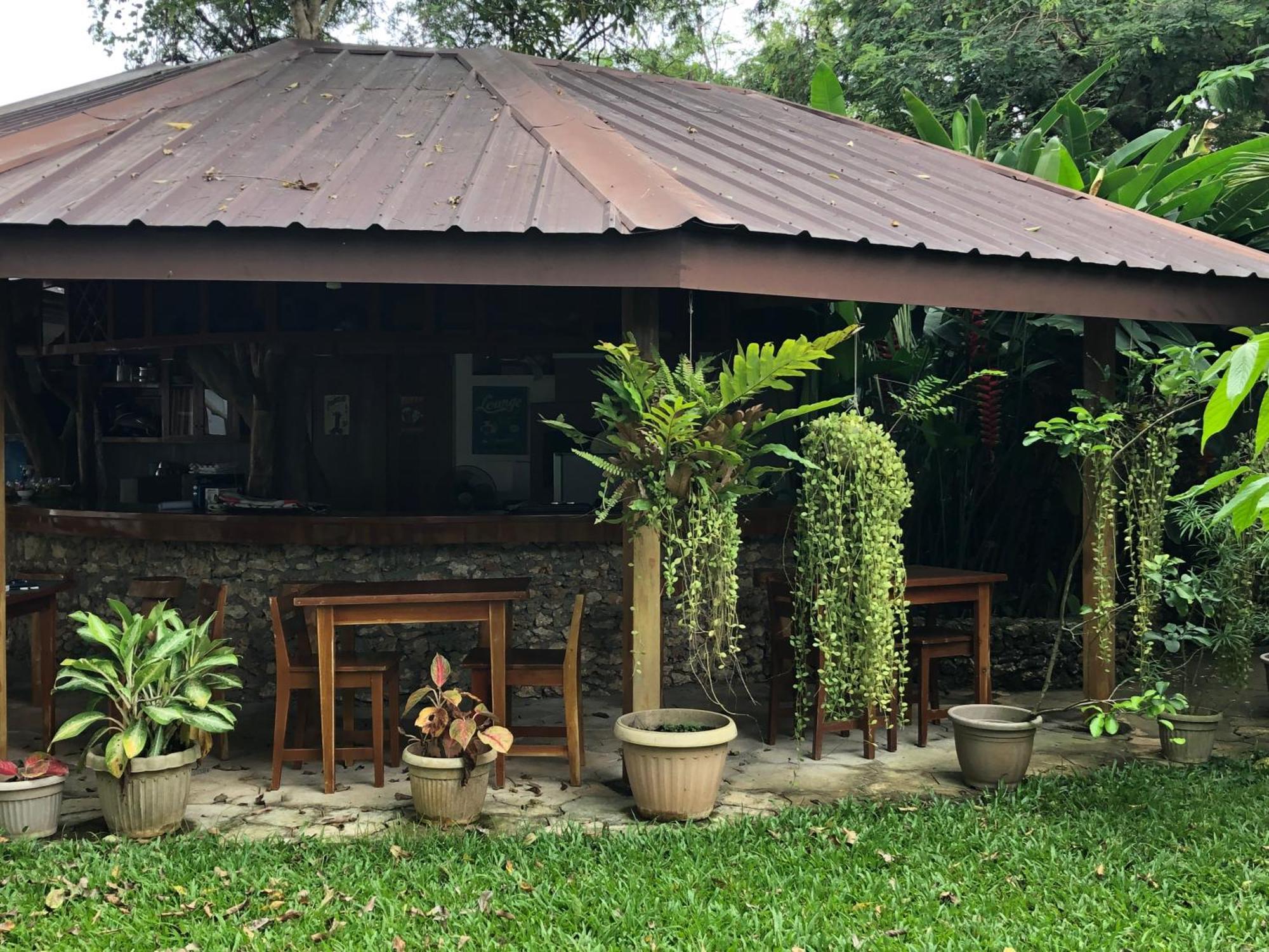 Pahiluna Guesthouse Panglao Buitenkant foto